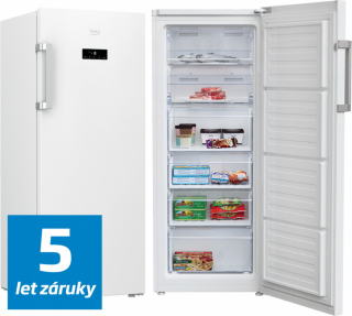 Beko RFNE270E33WN